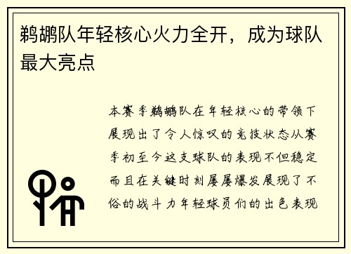 鹈鹕队年轻核心火力全开，成为球队最大亮点