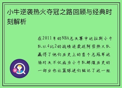 小牛逆袭热火夺冠之路回顾与经典时刻解析